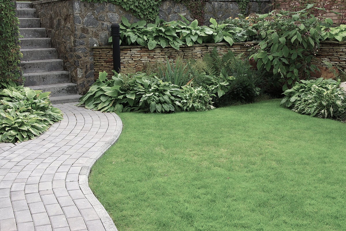 Welcome to NB Landscaping